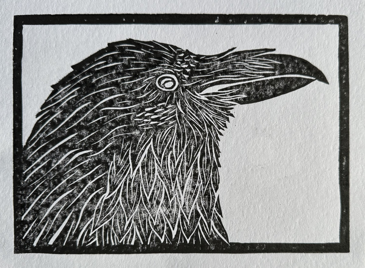 Crow Profile