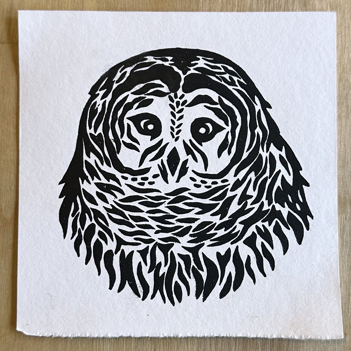 Susan’s Barred Owl