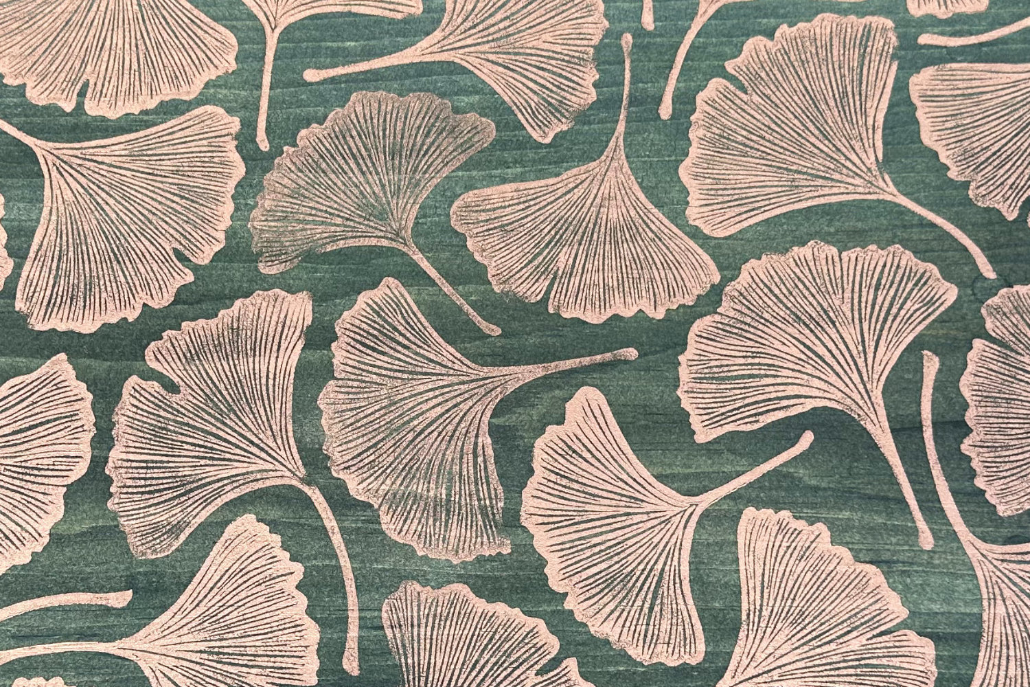 Close up of ginkgos.