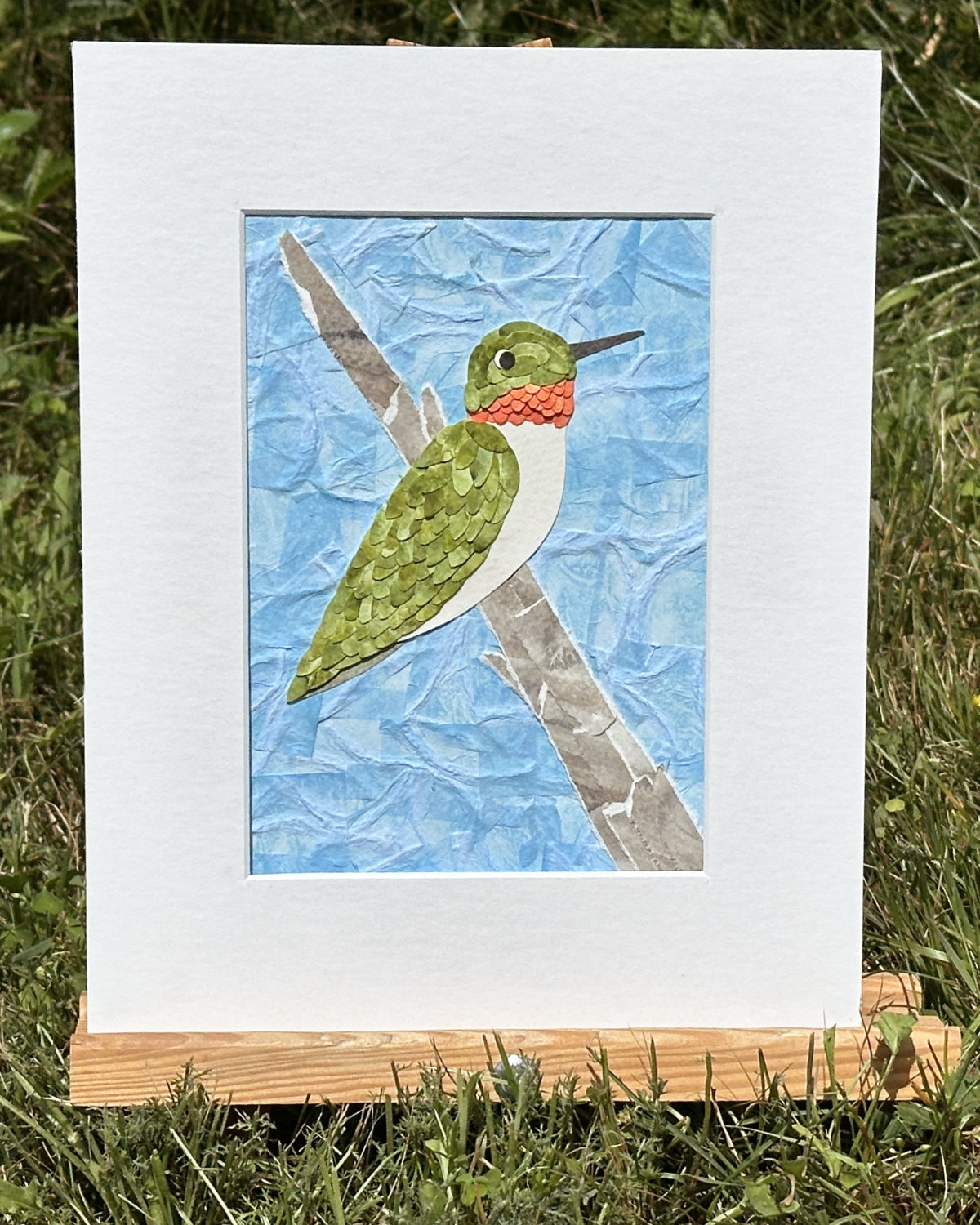 Hummingbird 7/25