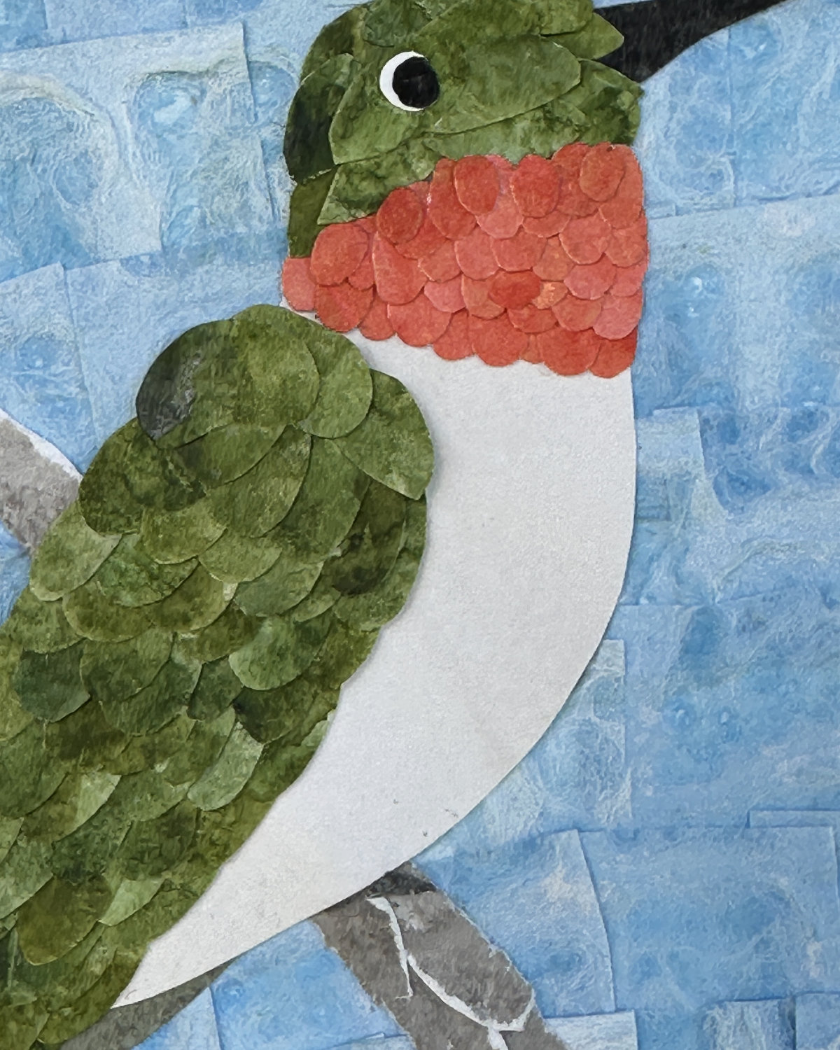 Male hummingbird detail close up.