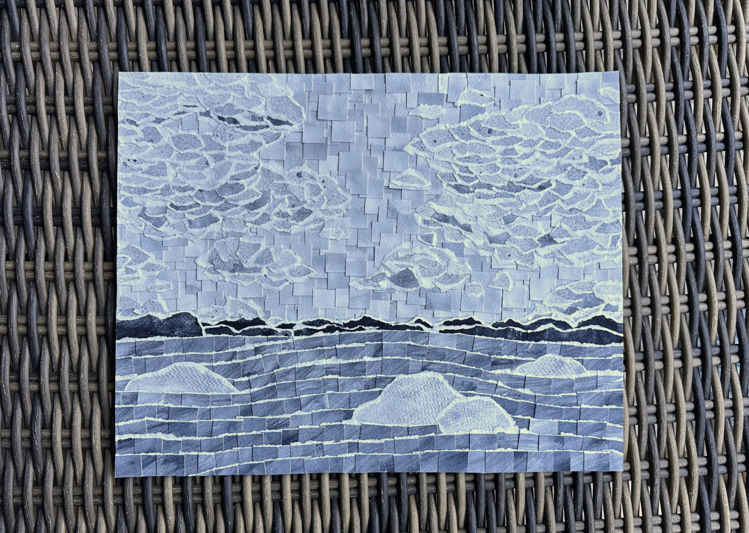 Blueberry Barrens in Grey #1